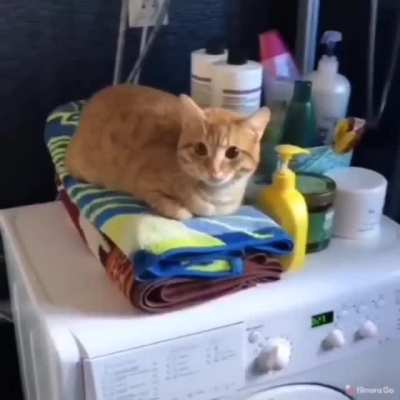 "Go away and don't film me, I want to relax"