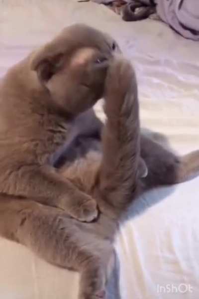 He&rsquo;s such a show off