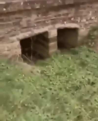 YOU CAN NEVER HIDE!