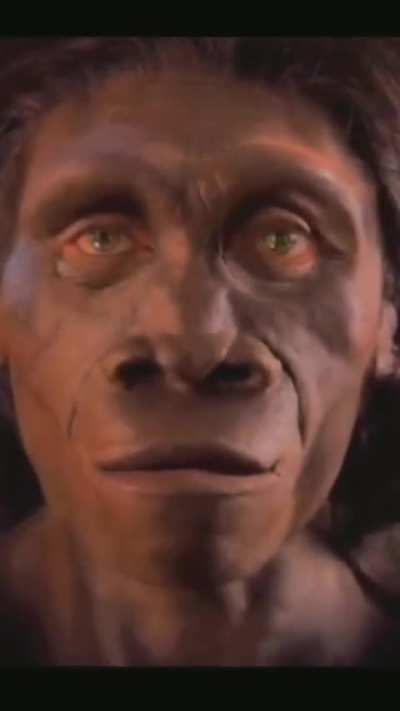 realmente evoluem