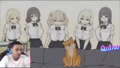 Lucky dog