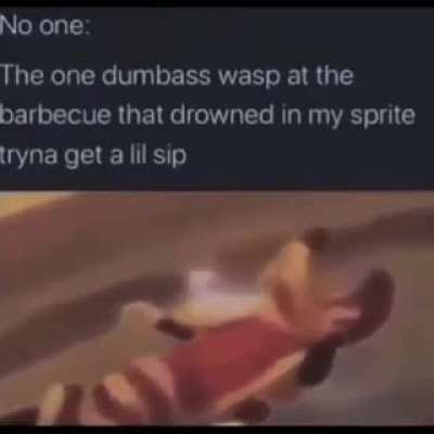 rip lil man
