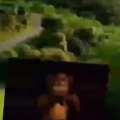 PFTTTBRA