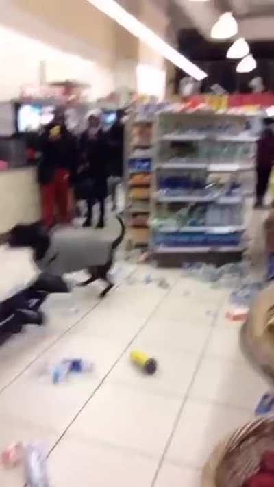 More 7-Eleven chaos but this time a Dog gets involved!