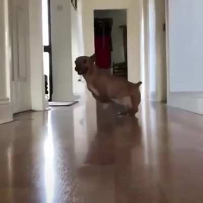 A+ recovery