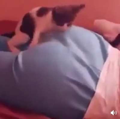 Mini Monch