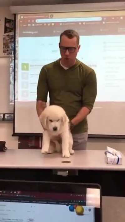Perfectly timed