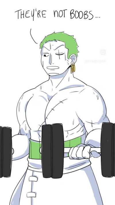 Zoro does have the biggest boobs out of the crew
