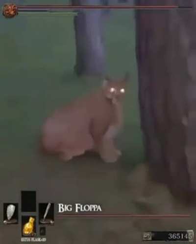 floppa the big cat