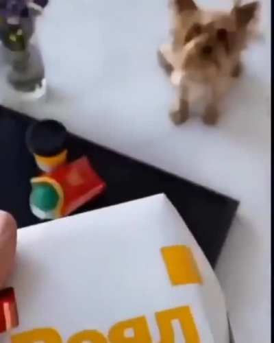 se enojo el tiki