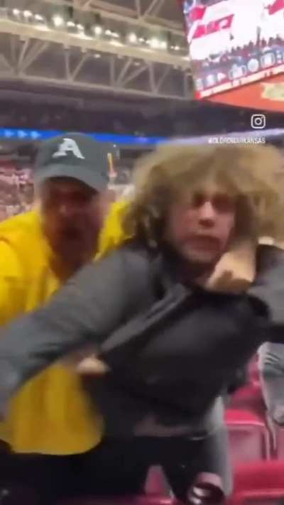 This guy doing Nazi Salutes at a game was taught a valuable lesson