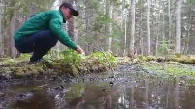 When they say to not step in puddles this is the risk they are talking about: