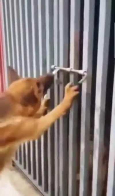 to capture a wholesome moment