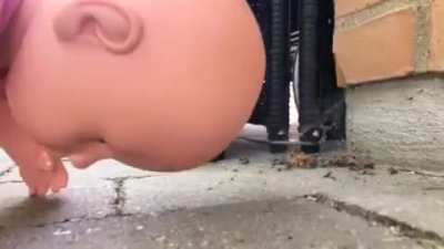 Cursed_stopmotion