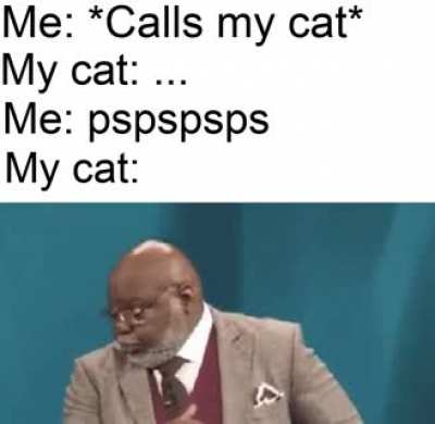As a person who never owned a cat, I can't relate