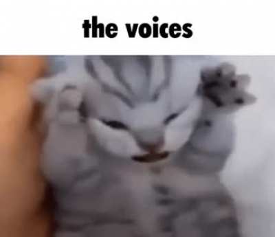 GET OUT OF MY HEAD! GET OUT OF MY HEAD! GET OUT OF MY HEAD!