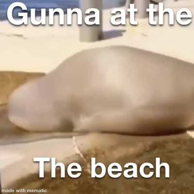 Gunna Wunna