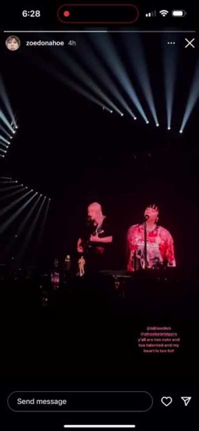 Phoebe &amp;amp; Billie Eilish singing Motion Sickness from zoedonahoe&rsquo;s IG