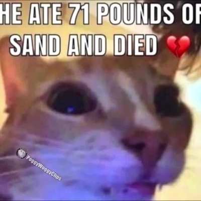 Someone save a homie 😔