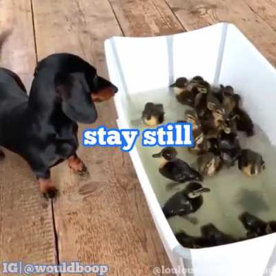 must do invemtory