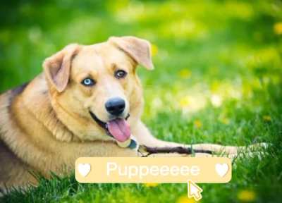 Puppeeeee