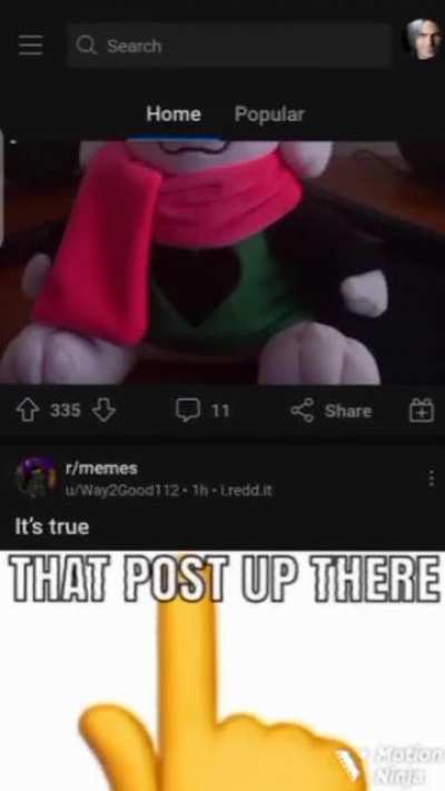 NOOO