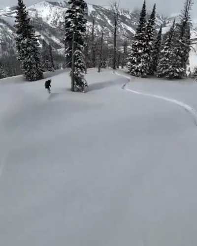 I will always take this chill cruising over a 2340 triple cork double backflip. Credit: @hibeams