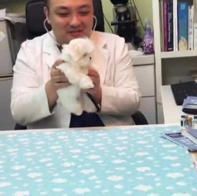 Puppy gets a checkup