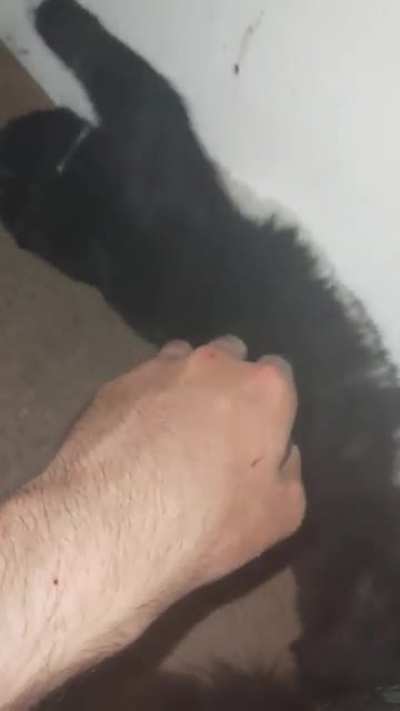 C&aelig;t
