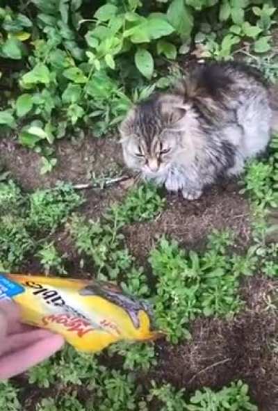 " Get this garbage out of my face!"