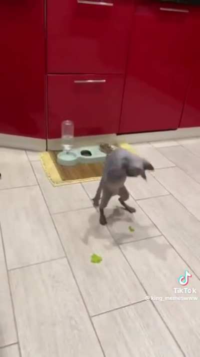 You don&rsquo;t win friends with salad