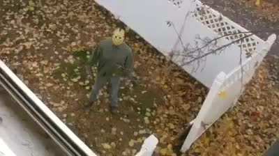 Found this