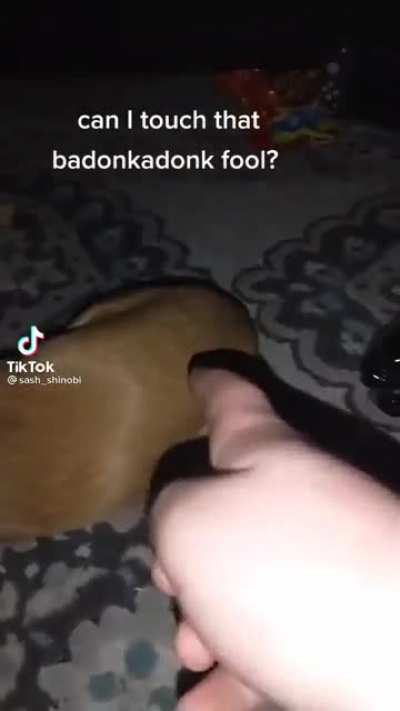 Demon dog