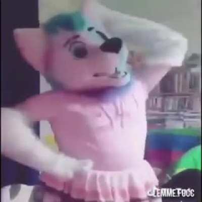 Furry_irl