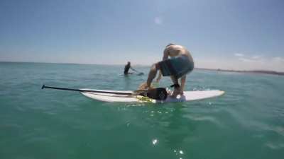 Gigantic squid tries to climb on paddle board