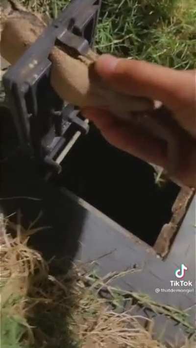 Don&rsquo;t lick the frog