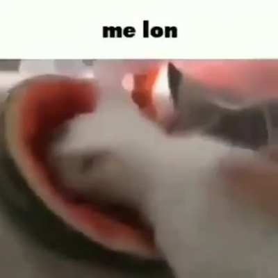 Melón