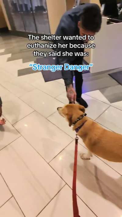 Dogs shouldn&rsquo;t be judged solely by who they are in the shelter and I will die on that hill.