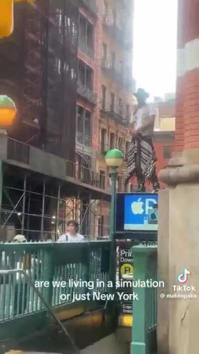 They're Everywhere 