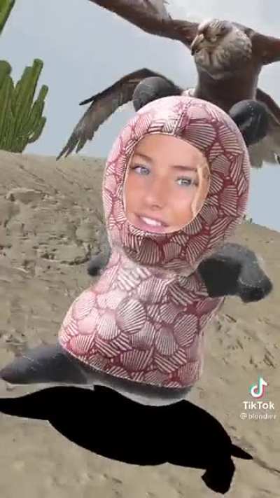 New filter