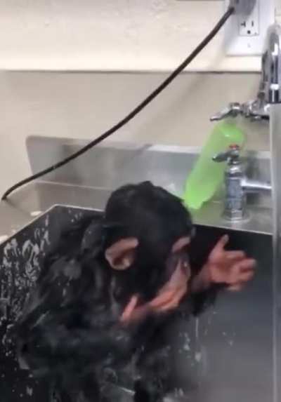 El admin d&aacute;ndose un ba&ntilde;o, espero que quede muy limpio mi pana