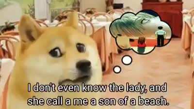 Sheet