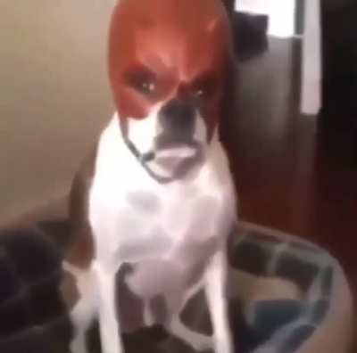 Yo intentando convertir este subreddit en el subreddit de godzilla español que tanto deseó