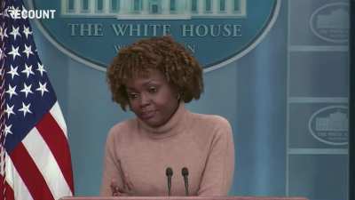 A reporter uses all his time at the White House press briefing to ask about an assessment that &ldquo;literally everyone on Earth will die&rdquo; because of artificial intelligence, gets laughed at
