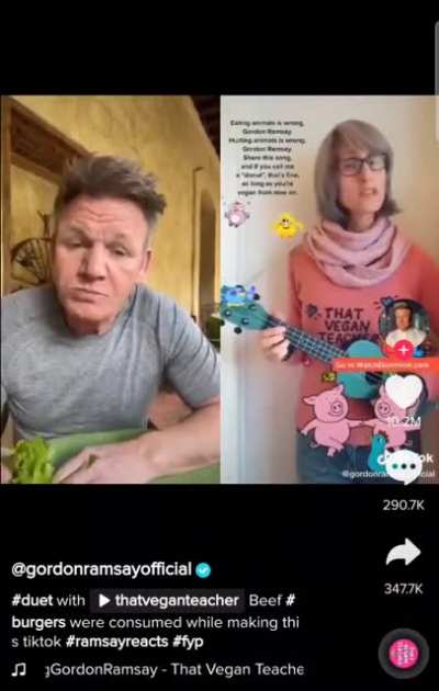 Not cringe but thought y'all might like this... Gordon Ramsey responds to that crazy vegan lady we always see on this sub by eating a hamburger