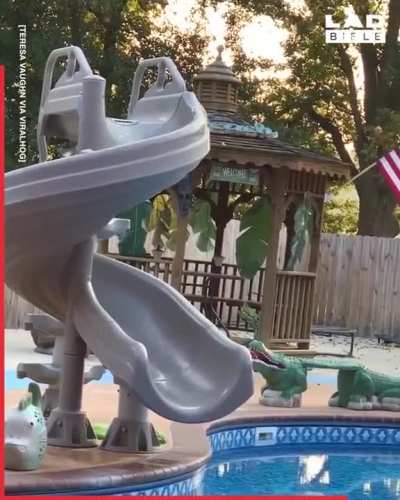 Cat instant regret
