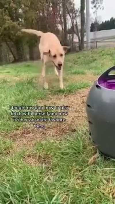 That little happy hop dance 🤩🤣