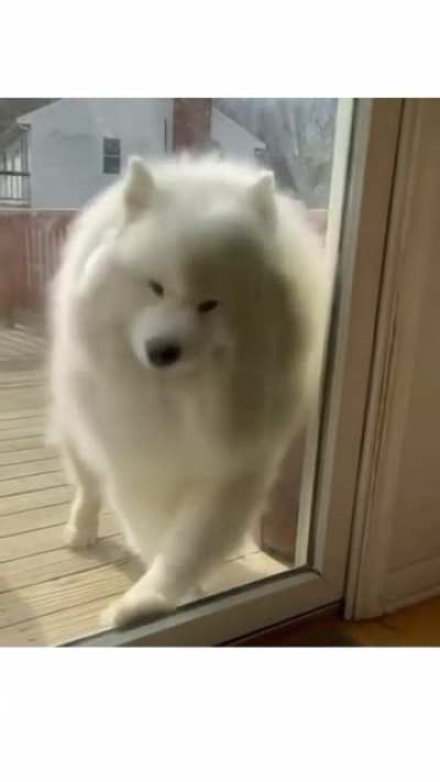 Lasst die Wolke rein!