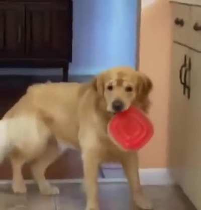 to get some food