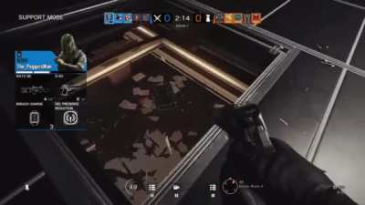 N&oslash;kk with shotgun?